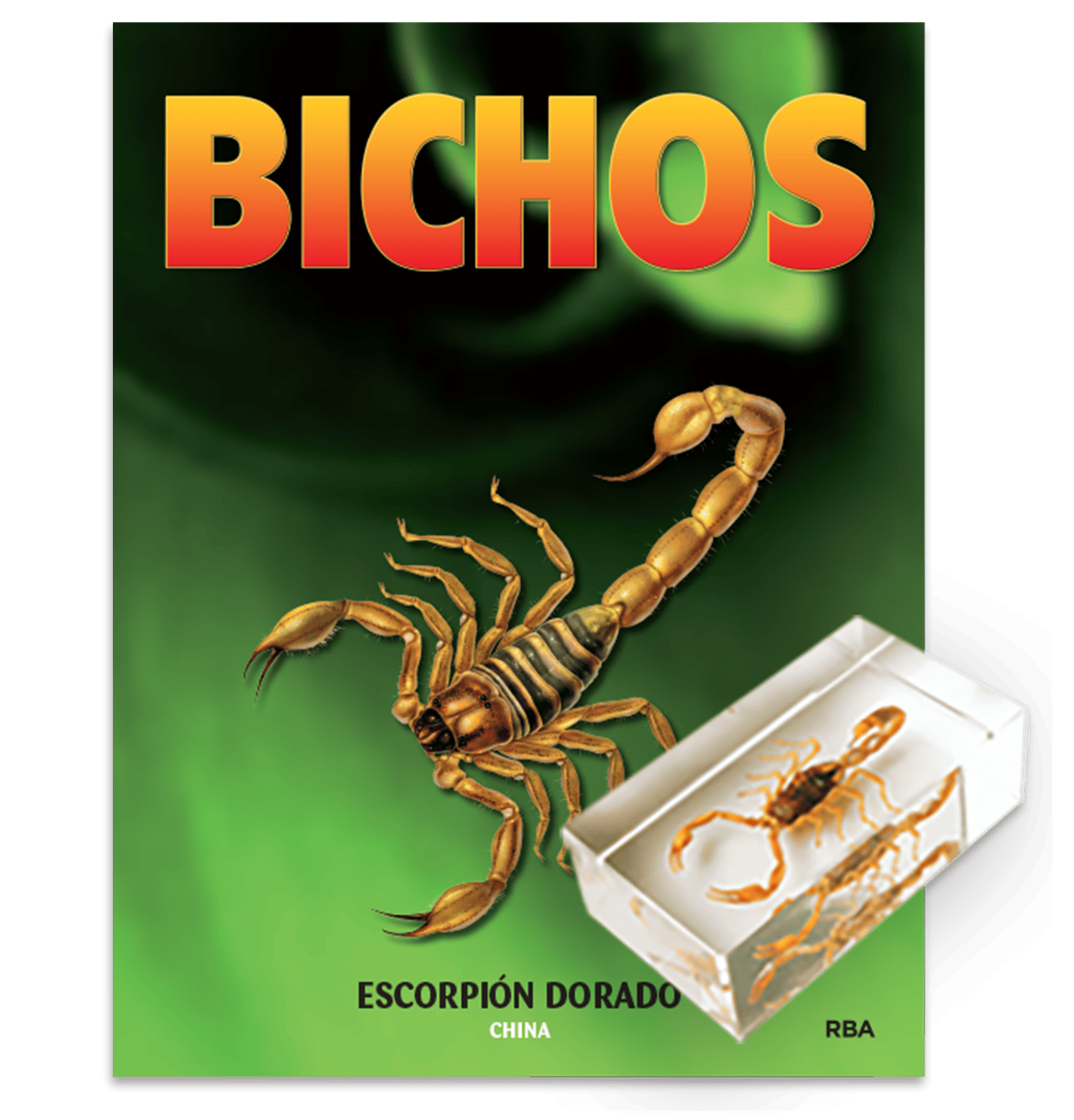 Escorpion_dorado_china