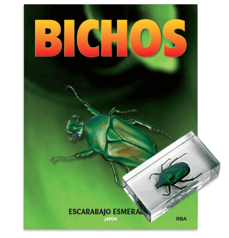 Colección Bichos - RBA