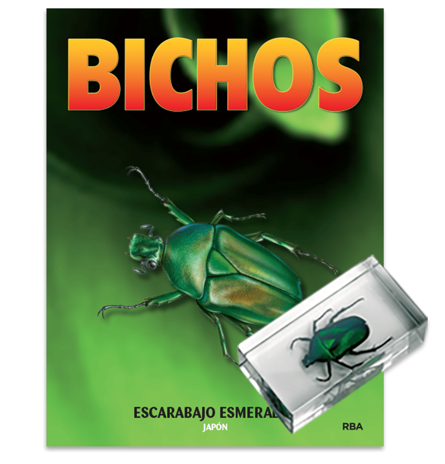 Escarabajo_esmeralda_Japon