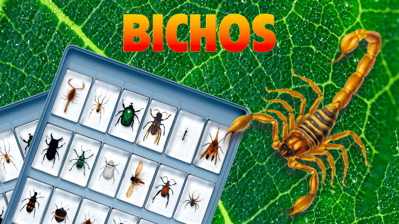 Colección Bichos - RBA